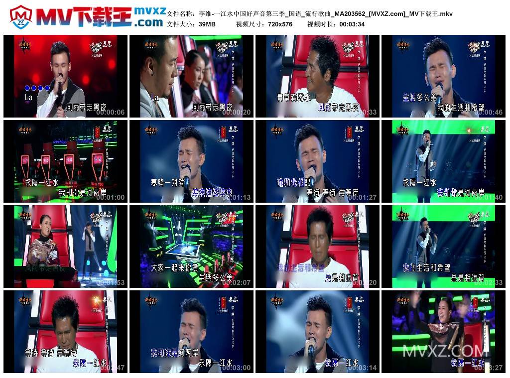 李维-一江水中国好声音第三季_国语_流行歌曲_MA203562